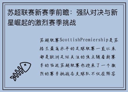 苏超联赛新赛季前瞻：强队对决与新星崛起的激烈赛季挑战