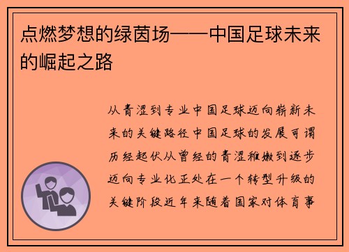 点燃梦想的绿茵场——中国足球未来的崛起之路